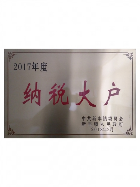 2017年度纳税大户